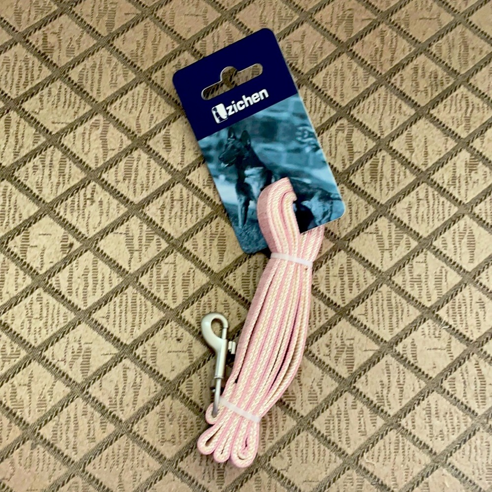 Standard pink dog leash
